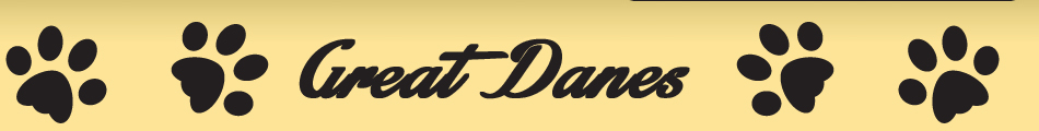 Great Danes