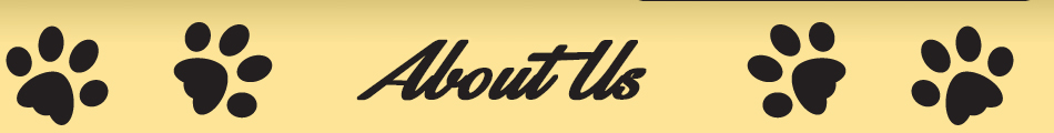 About Us